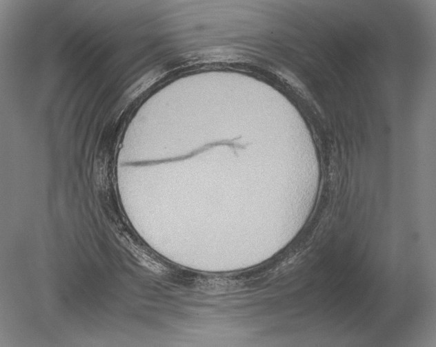 X0000080760873200701051233