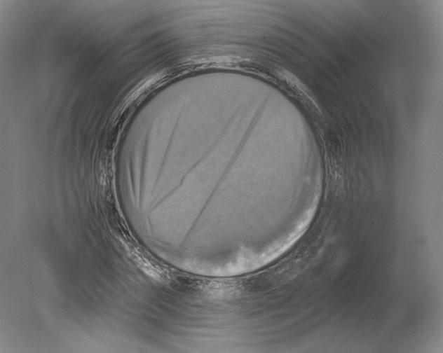 X0000080760874200701051233
