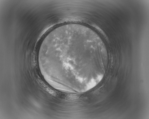 X0000080760878200701051233