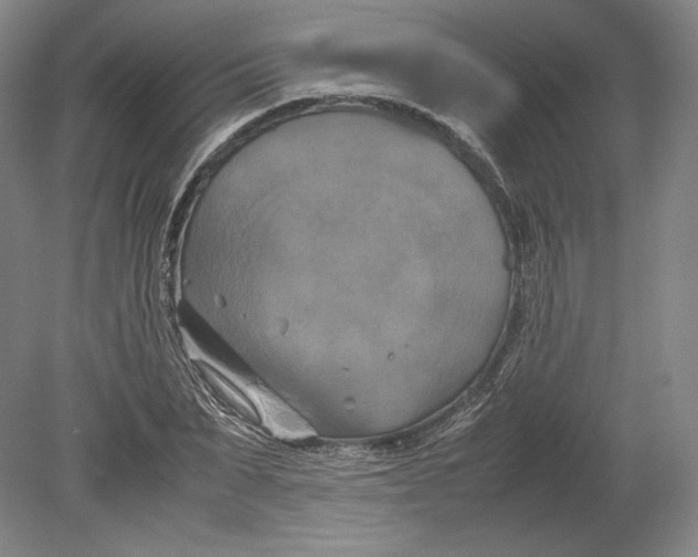 X0000080760879200701051233