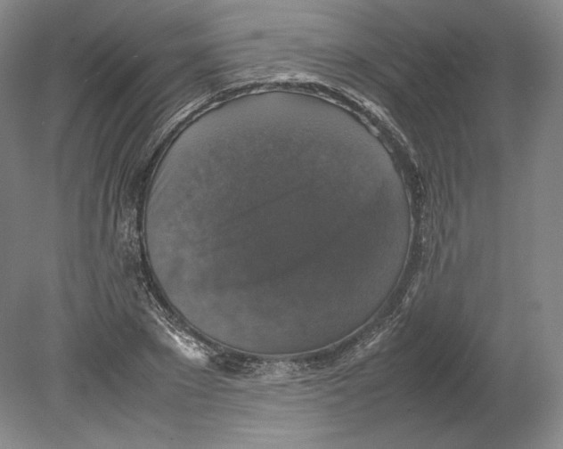 X0000080760881200701051233