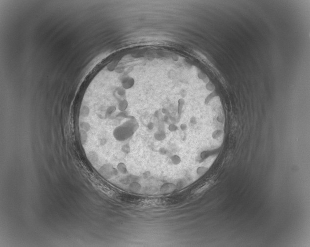 X0000080760883200701051233