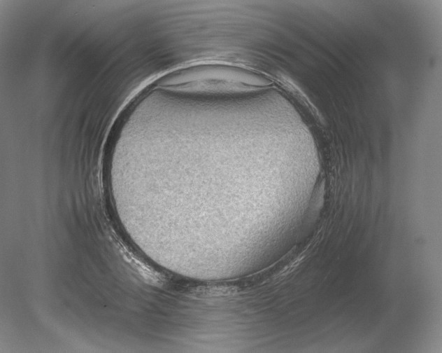 X0000080760884200701051233