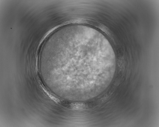 X0000080760886200701051233