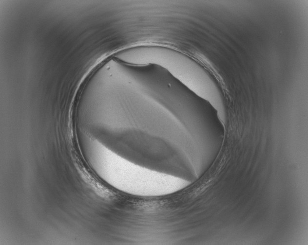 X0000080760892200701051233