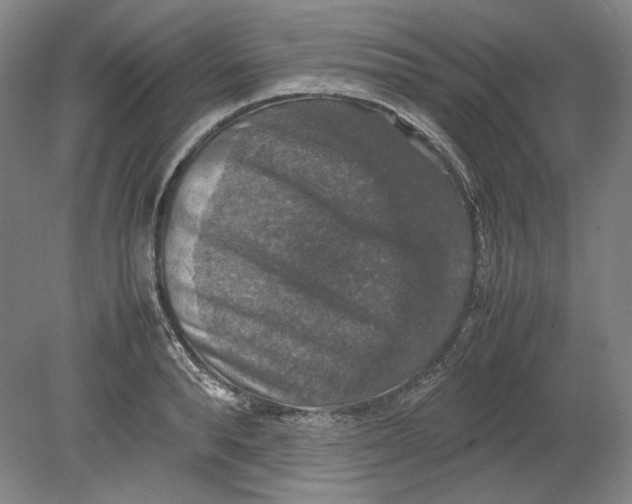 X0000080760896200701051233