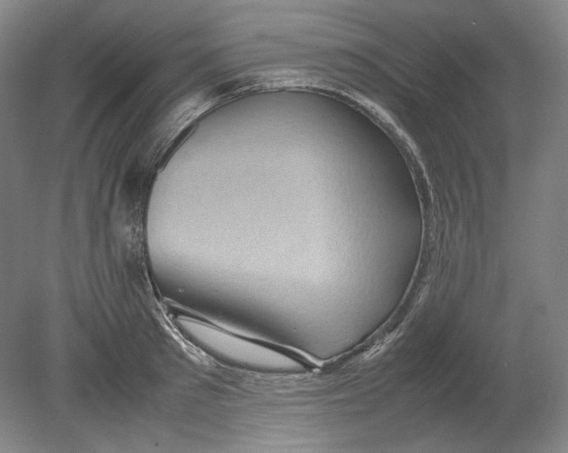 X0000080760897200701051233