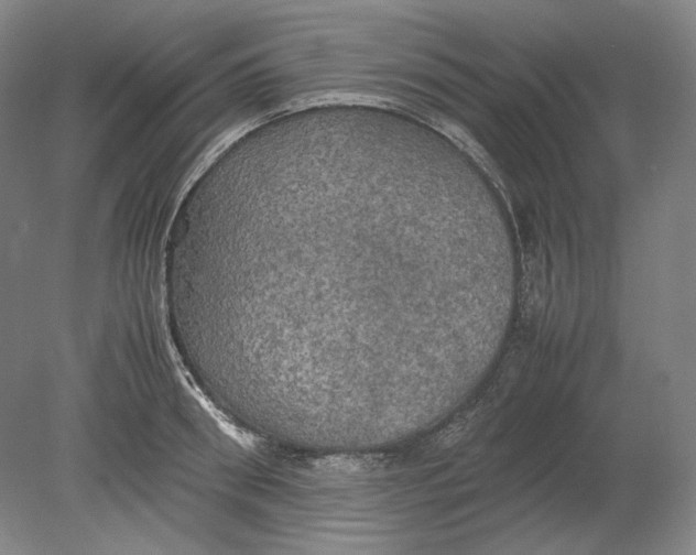 X0000080760898200701051233