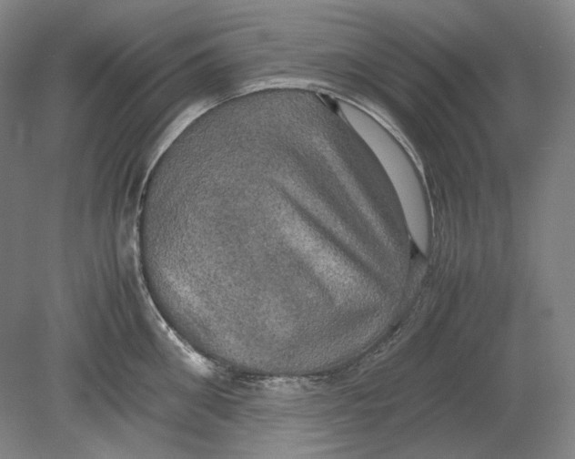 X0000080760906200701051233