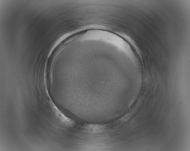 X0000080760910200701051233
