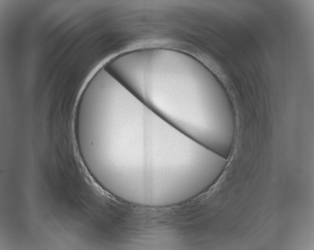 X0000080760912200701051233