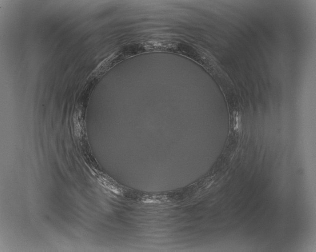 X0000080760915200701051232