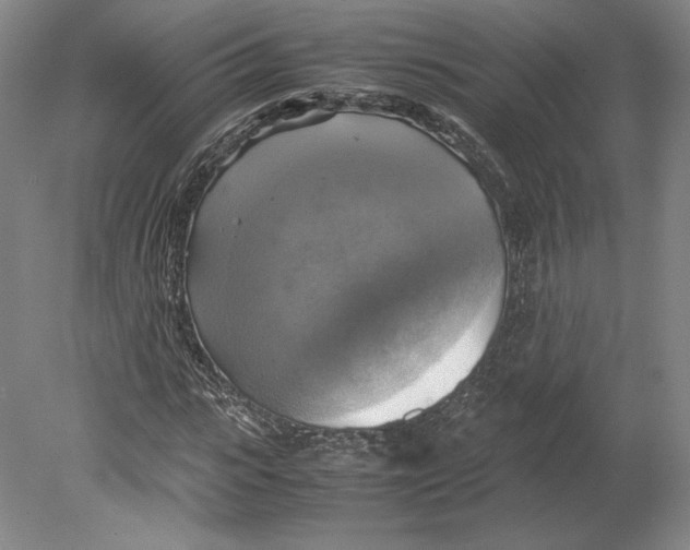 X0000080760919200701051232