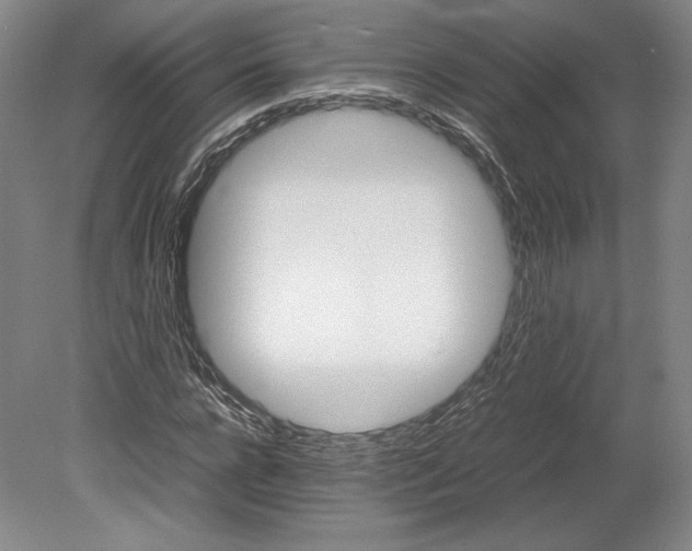 X0000080760920200701051232