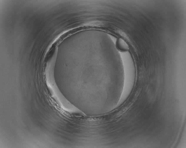 X0000080760923200701051232