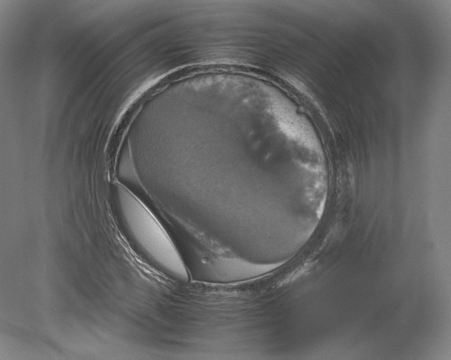 X0000080760925200701051232