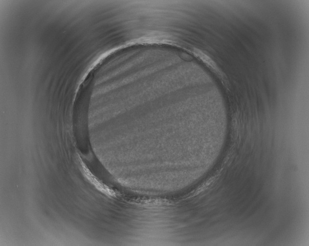 X0000080760934200701051232