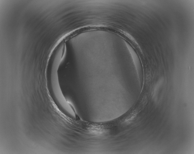 X0000080760935200701051232
