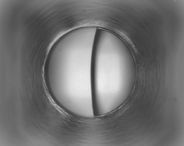 X0000080760936200701051232