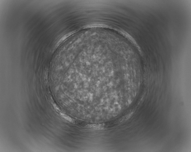 X0000080760937200701051232