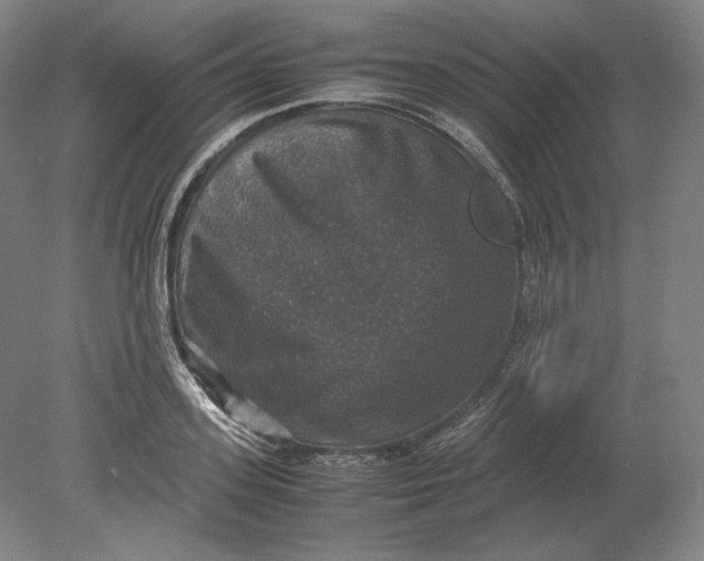 X0000080760939200701051232