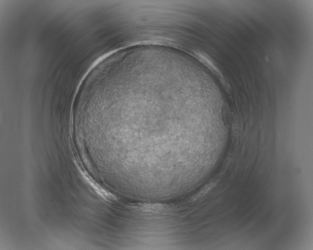 X0000080760940200701051232