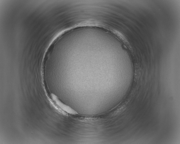 X0000080760942200701051232