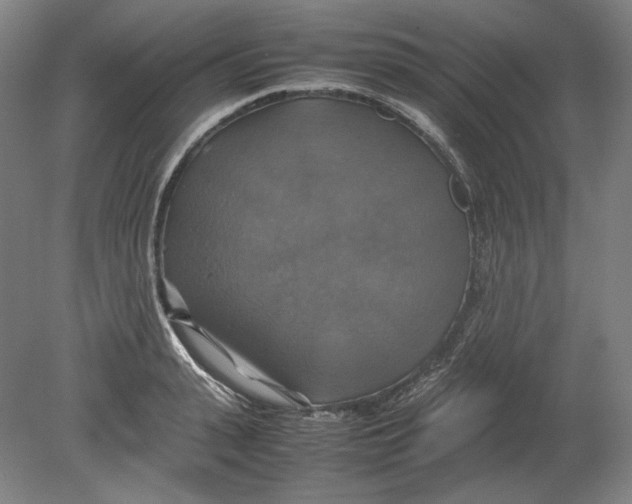 X0000080760943200701051232