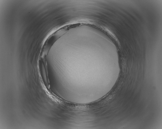 X0000080760944200701051232