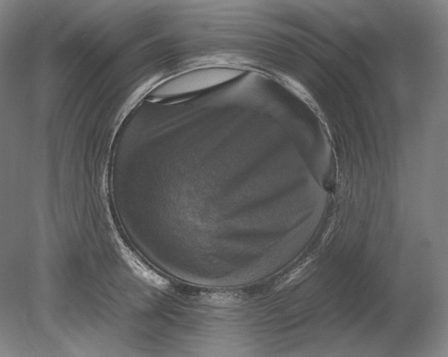 X0000080760946200701051232