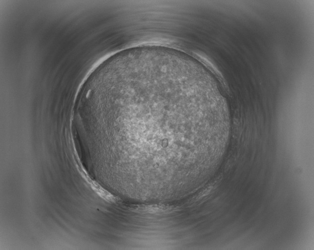 X0000080760948200701051232
