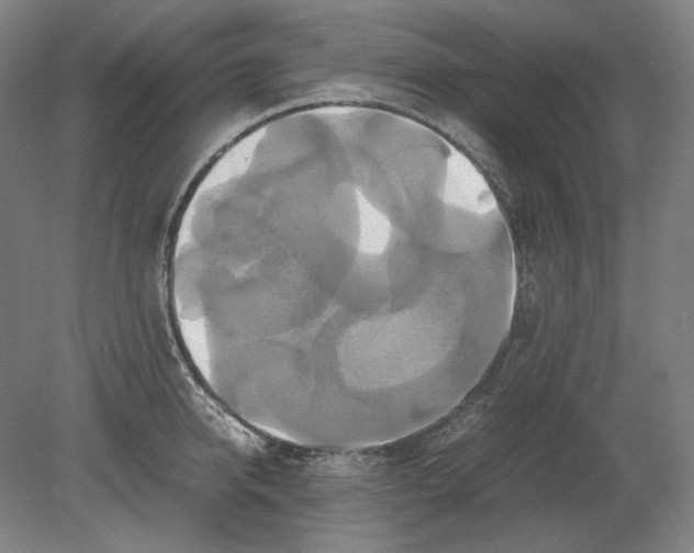 X0000080760950200701051232