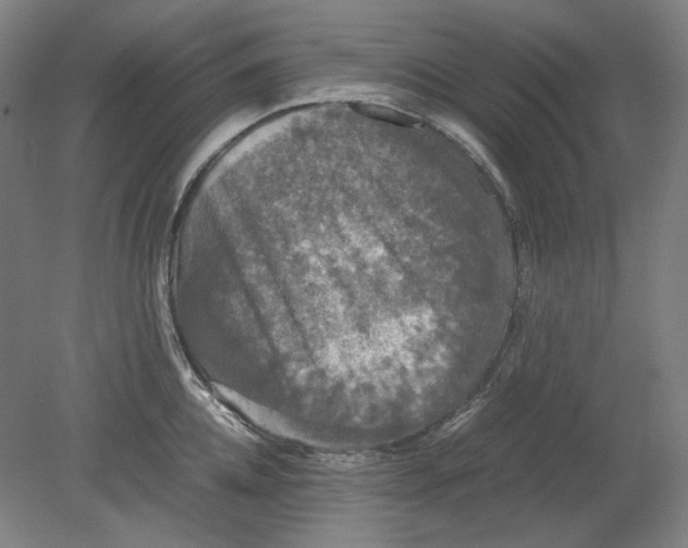 X0000080760952200701051233