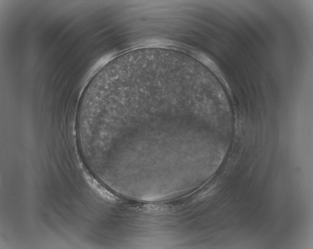 X0000080760954200701051233
