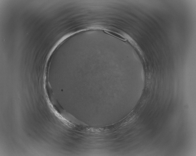 X0000080760955200701051233