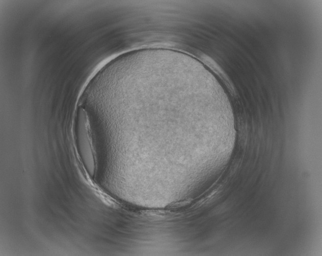 X0000080760956200701051233