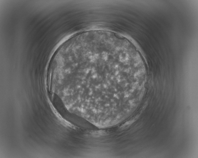 X0000080760957200701051233