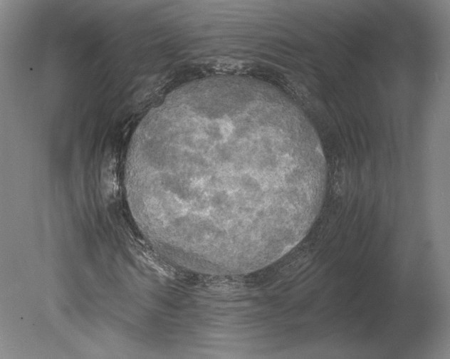 X0000080760962200701051232