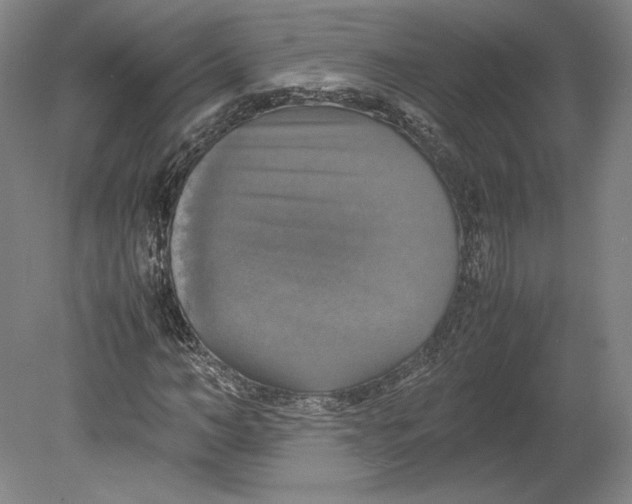X0000080760966200701051232