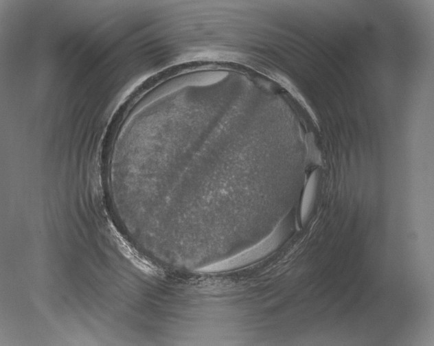 X0000080760972200701051232