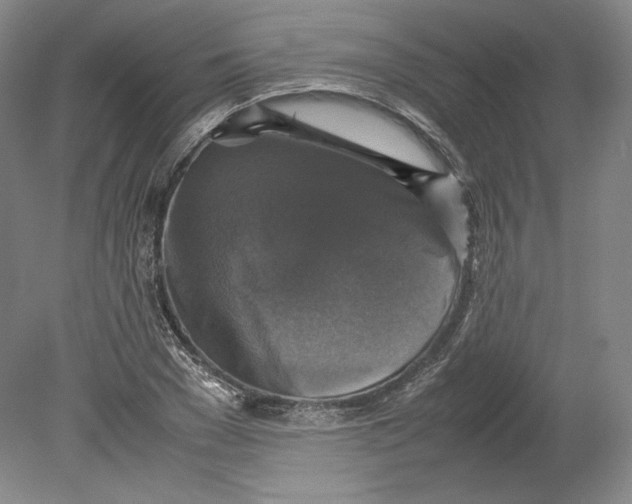 X0000080760977200701051232
