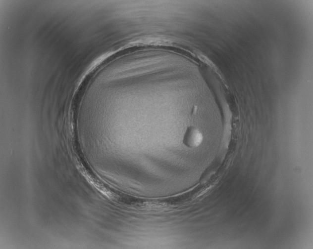 X0000080760981200701051232