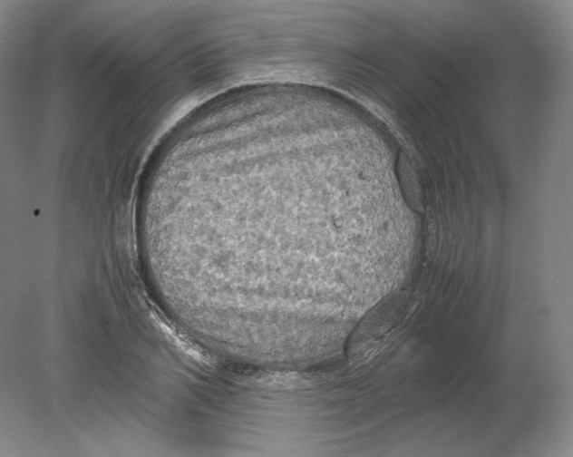 X0000080760982200701051231