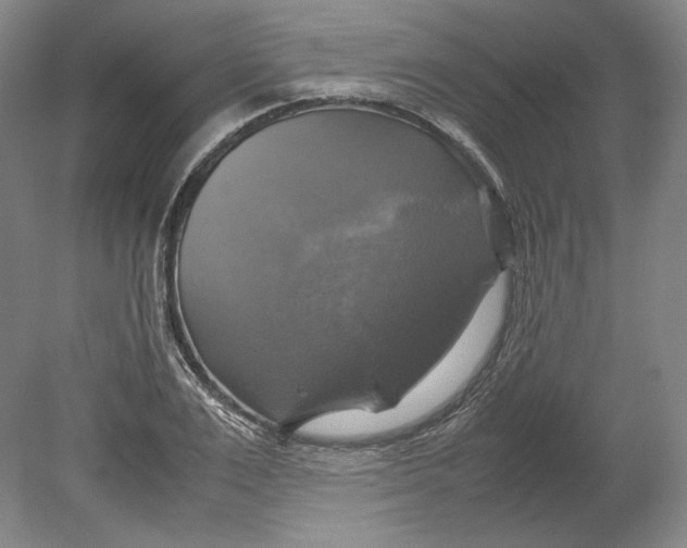 X0000080760983200701051231