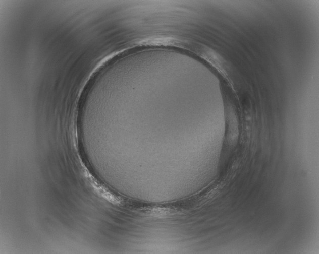 X0000080760984200701051231