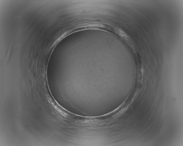 X0000080760985200701051231