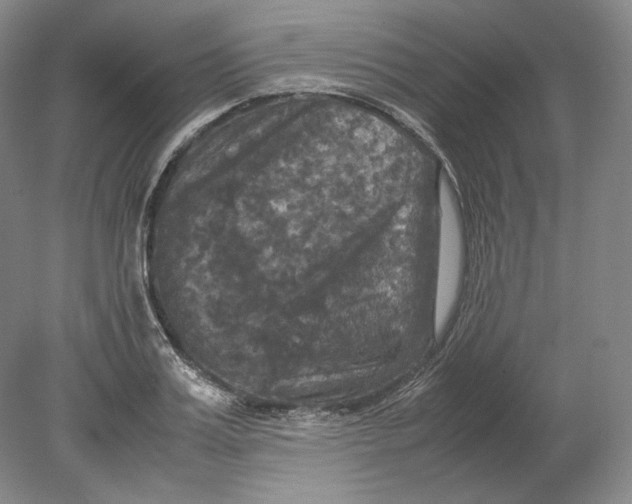 X0000080760987200701051231