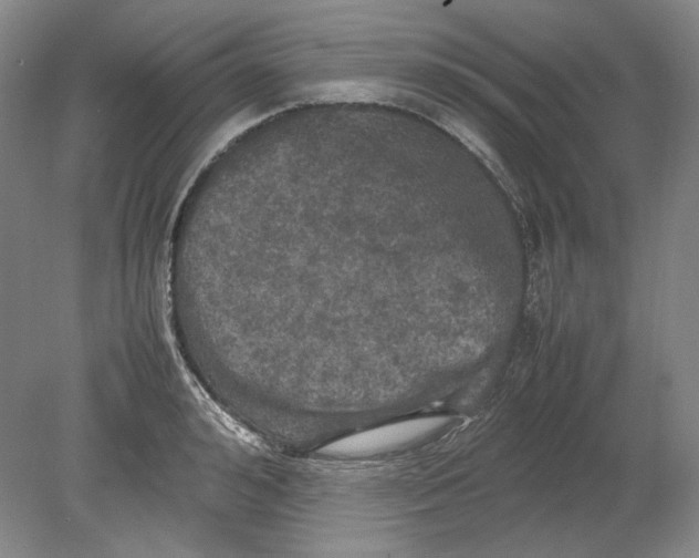 X0000080760992200701051231