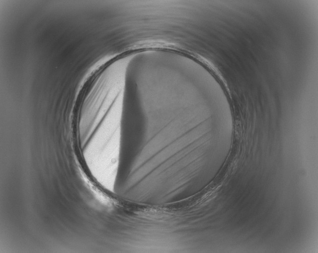 X0000080760995200701051231