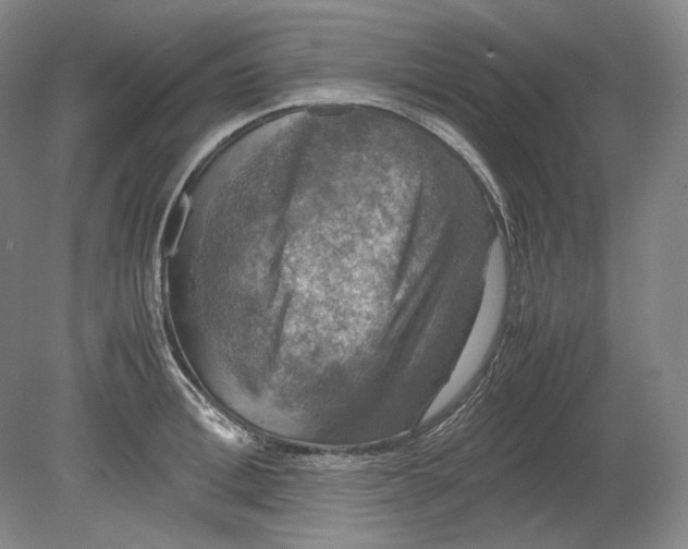 X0000080760996200701051231